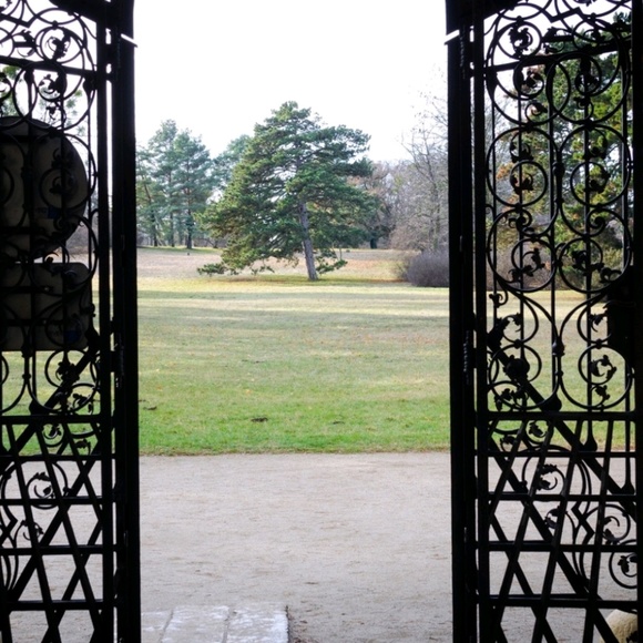 Meet your Posher, Amara - Picture 1 of 1